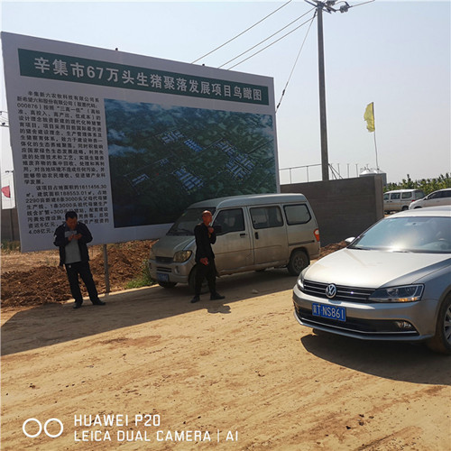 辛集市67万头生猪聚落采购APP黄色片钢三柱看片免费APP